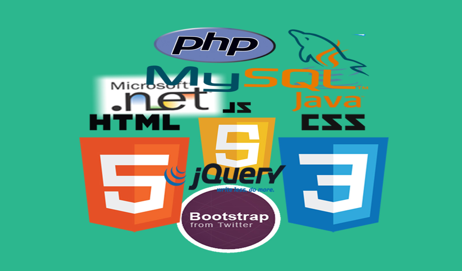 Web Development